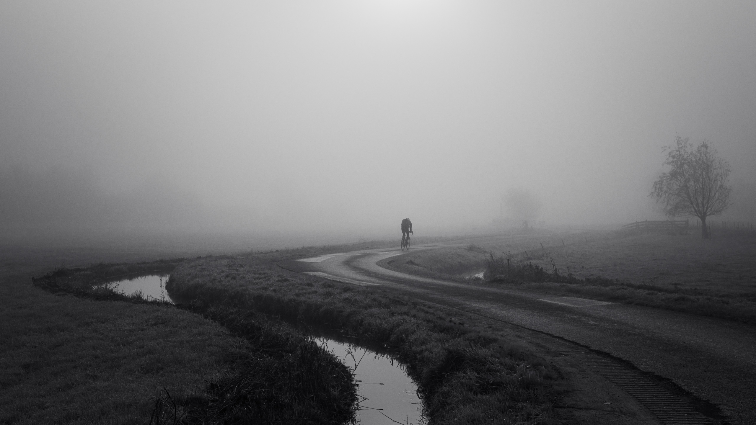 Man cycling in fog