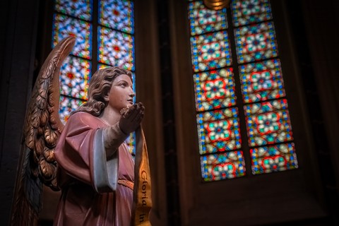St. Johns Cathedral, Den Bosch