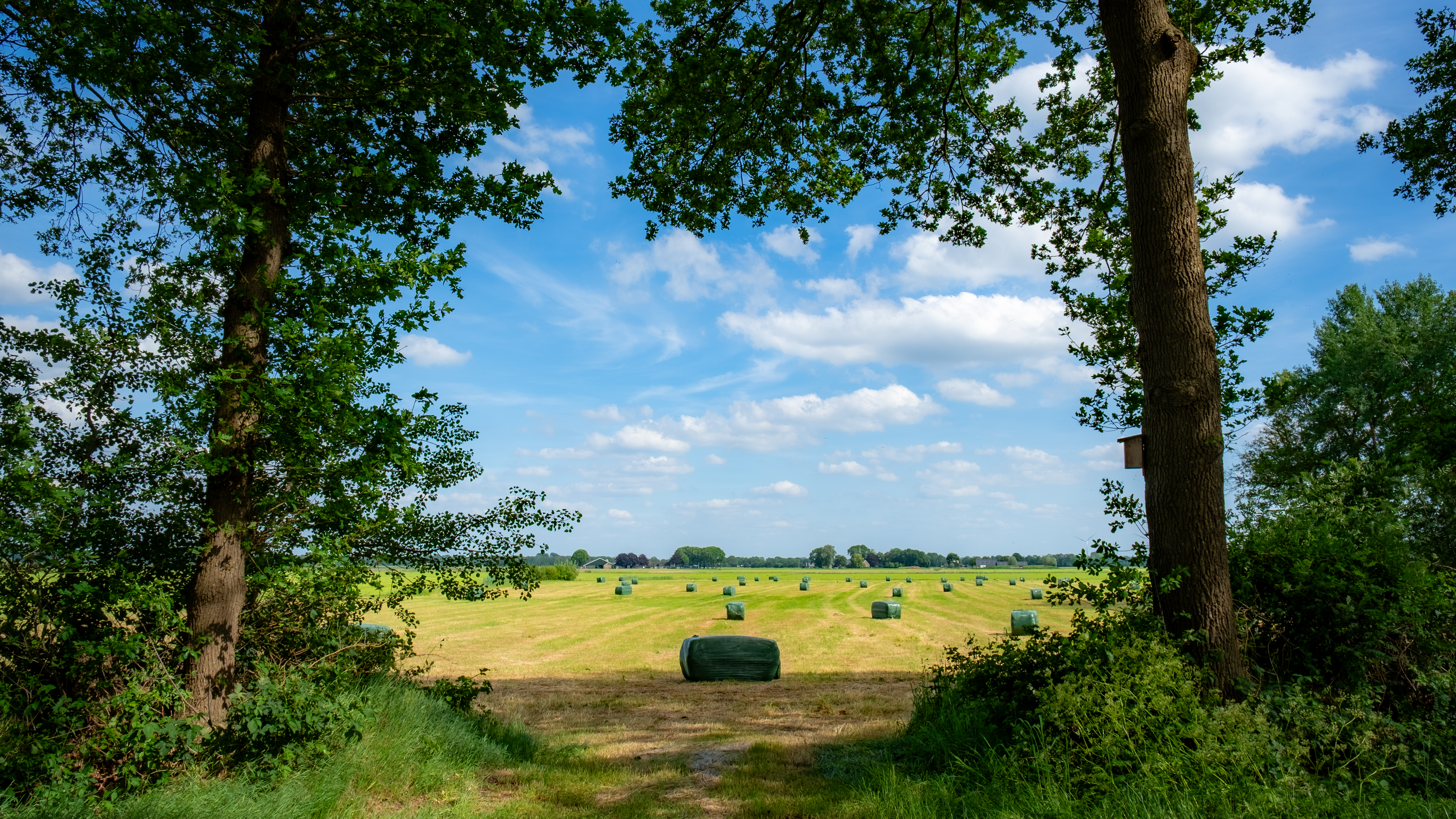 A shot I took while on a hike in Drenthe